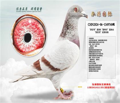 üt̖(ho)ֱOXؠֱOŮ