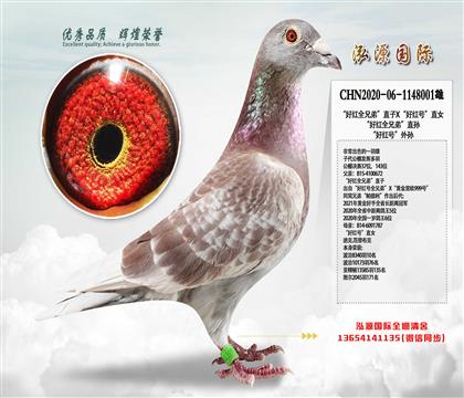 ütȫֵܡֱXütֱ̖Ů