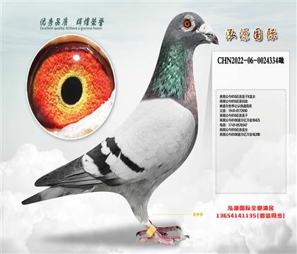 ֲ ٬F(xin)ţ810HֱXֱŮ