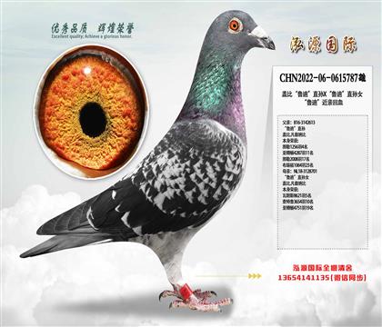 wȡ?sh)ϡֱOX?sh)ϡֱOŮ