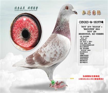 ütֱ̖Xütȫֵܡx Wƥ_ֱOŮ