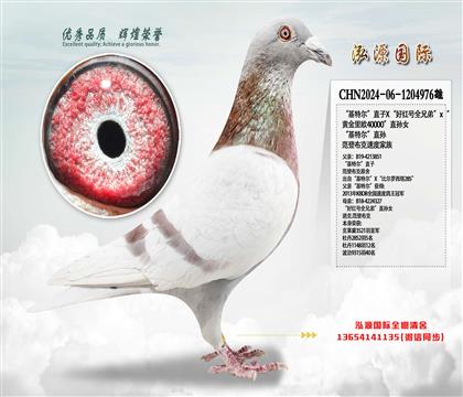 ؠֱXüt̖ȫֵܡx SW40000ֱO