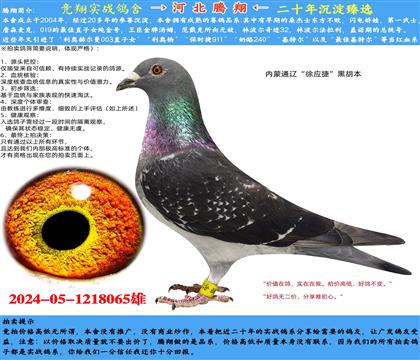 (ni)ɹͨ|쑪(yng)ݣں