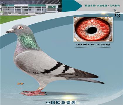 Xɣʿ048~324̖X061ֱŮ488