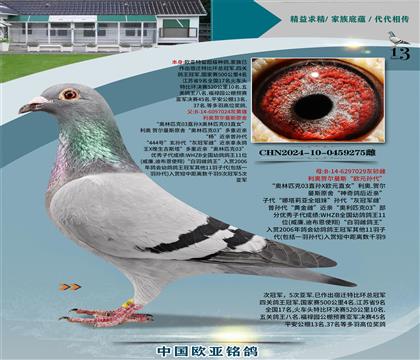 Wԭ03H444̖ҹ܊XWԪO