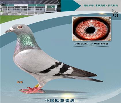 Ͽ.ǲѪy(tng)ؠ295XؠֱO394