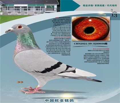 X614X061ɣʿֱ337XX926ֱŮ239