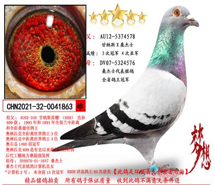 甘納斯X桑杰士金母