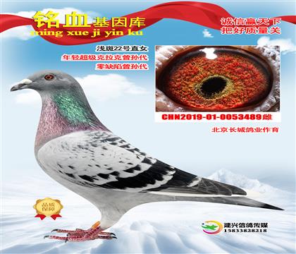 L(zhng)ǣp(j) ȱ \22