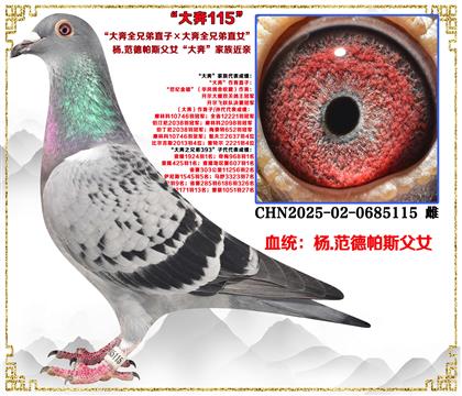 c(din)ƣ˹ŮȫֱֵӡȫֱֵŮ