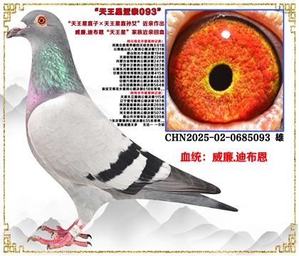 c(din)].ϲֱӡֱOŮH