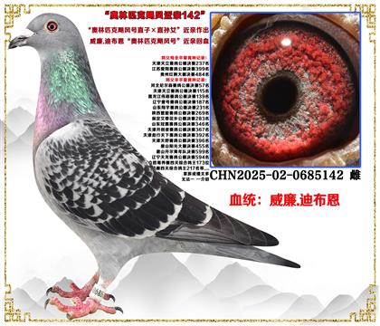 c(din)].ϲWƥZL(fng)̖(ho)ֱӡֱOŮH