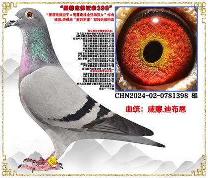 c(din)].ϲīƶֱӡīƶȫֱֵŮ