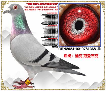 c(din)]ǲˡұȠֱOüt̖(ho)ȫֵ992ֱOŮ