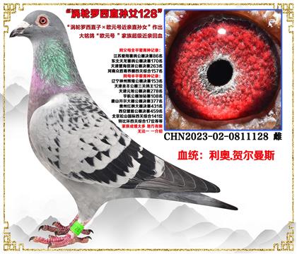 c(din)]Wu݆_ֱӡWԪ̖(ho)HֱOŮѪ