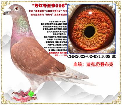 Ͽ.ǲˡֱXüt̖(ho)OŮ