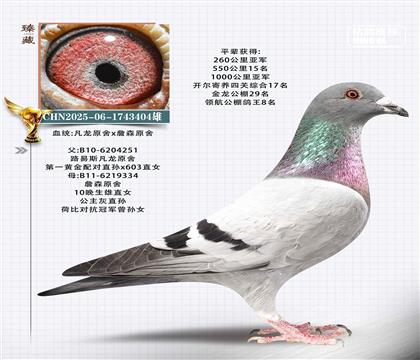 凡龍原舍x詹森原舍-千公里亞軍平輩404