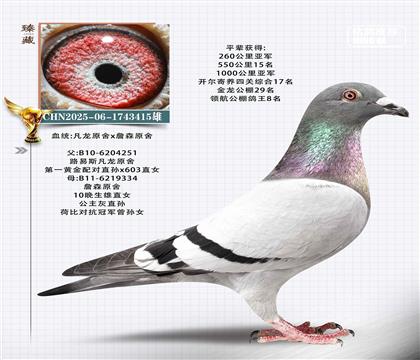 凡龍原舍x詹森原舍-千公里亞軍平輩415