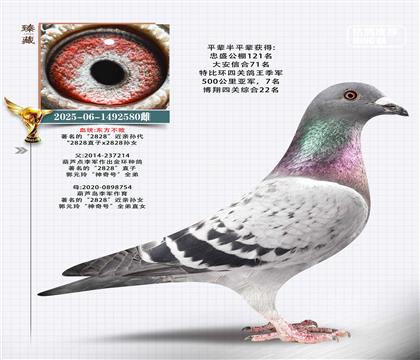 東方不敗2828近親孫女