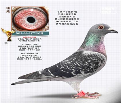 東方不敗2828近親直孫