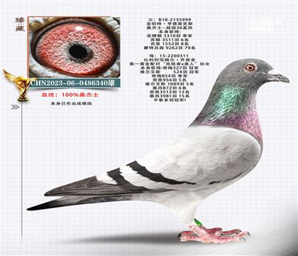 季軍桑杰士x2次冠軍桑杰士