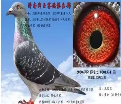 (j)˴㘷(l)رȭh(hun)Qِ܊