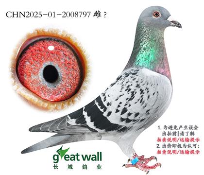 4.xղ˹801Ѫϵ.2008797