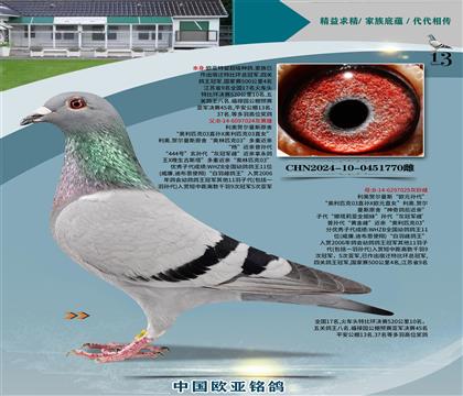 Wԭ03H444̖ҹ܊XWԪO