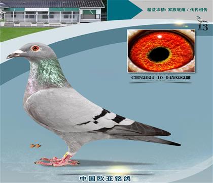 wԭ?sh)ֱ?30XWֱ̖Ů398