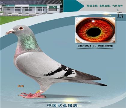 ˹Dԭ355μ܊X1050616λ