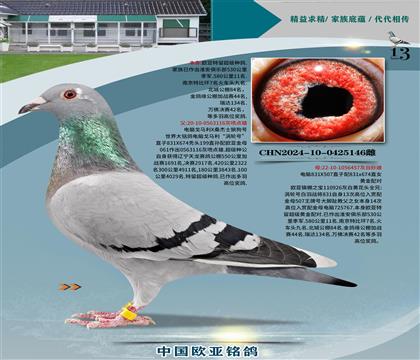 XXɣʿ116XX926ֱŮ457