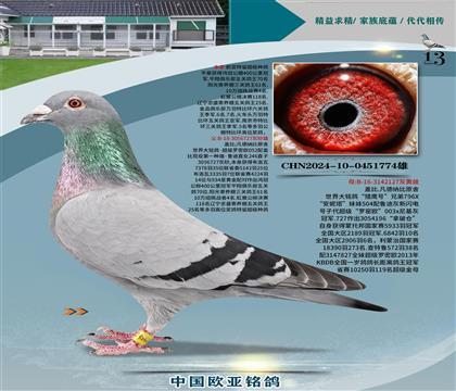 wԭᳬ_ܚWֱ727XC̖127