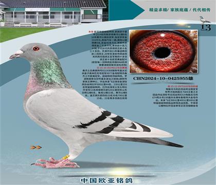 ɣʿǹ612X169(zhn)ȫ܊