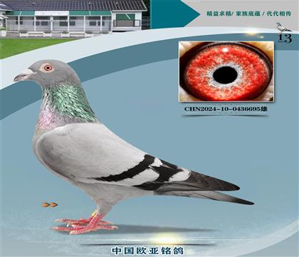 Xɣʿ048~324̖(ho)X061ֱŮ488