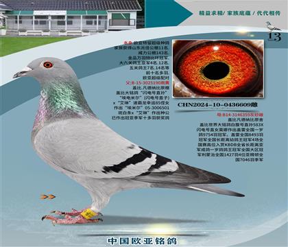 wԭW̖(ho)ֱO190XʼһֱŮ359