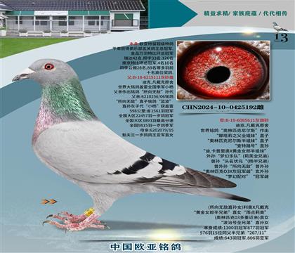 Ͽ.ԭ111X611Wƥ᠖˹