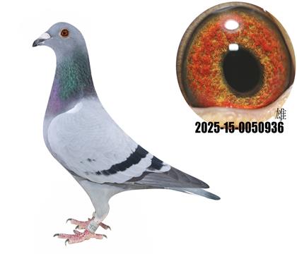 ¹ţ̖(ho)ֱӴţ280ֱOŮ936