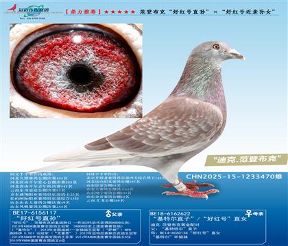 ǲˡütֱ̖Oüt̖HOŮ