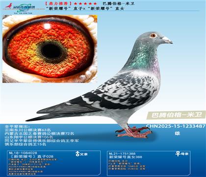 v-l(wi) sҫֱ̖xsҫֱ̖Ů