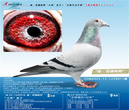 ˹󱼡ֱӡo̖ȫƽ݅