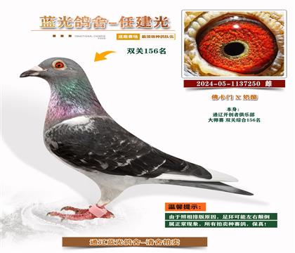 ҡͨ|_(ki)(chung)ߡ156