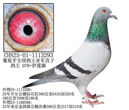 25_@ʯ(du)Qِ320֮-2