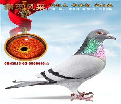 ʯߴɣʿN10̖h(hun)