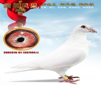 ّ(zhn)ׄ١?sh)? width=