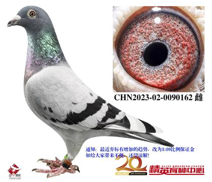 W(lin)w?sh)ֱXֱŮ162