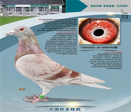 ղɭB(yng)ʮ293Xղɭ000ĸ