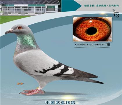 wԭᳬ_ܚWֱ727XC̖127