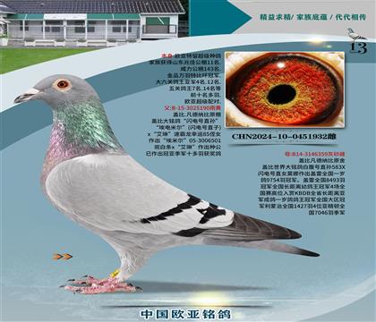 wԭWֱ̖O190XʼһֱŮ359