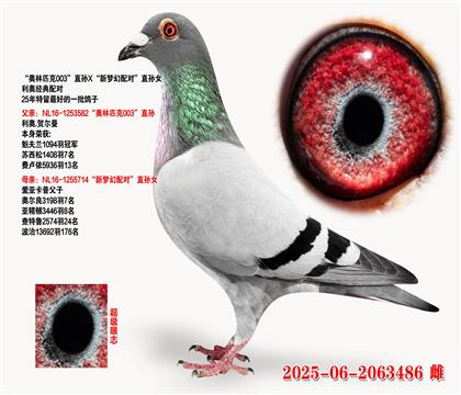 Wƥ003ֱOX(mng)䌦(du)ֱOŮ