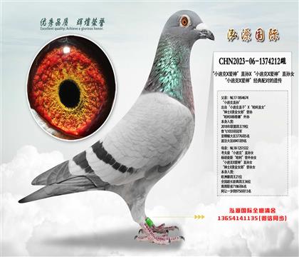 СϿX(i)ֱOXСϿX(i)ֱOŮ